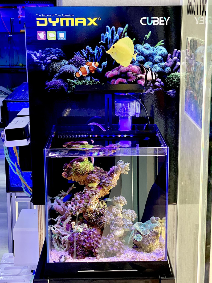 Dymax GS7 32cm Cubey Marine