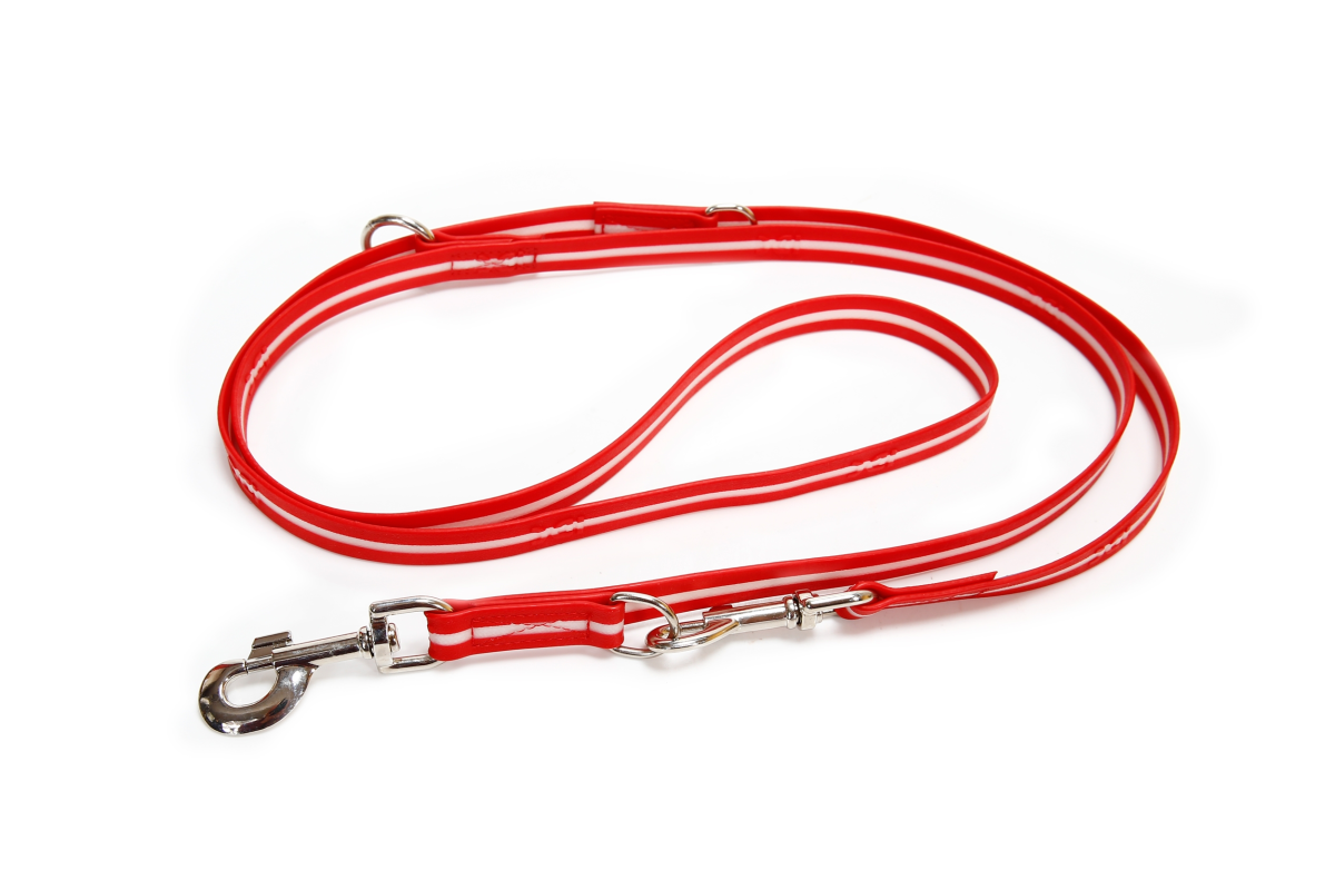 IDC Lumino Adjustable Leash - Red / Width 1.9 cm & Length 2.2 Meter