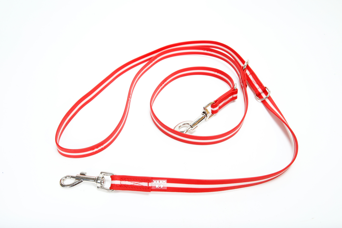 IDC Lumino Adjustable Leash - Red / Width 1.9 cm & Length 2.2 Meter