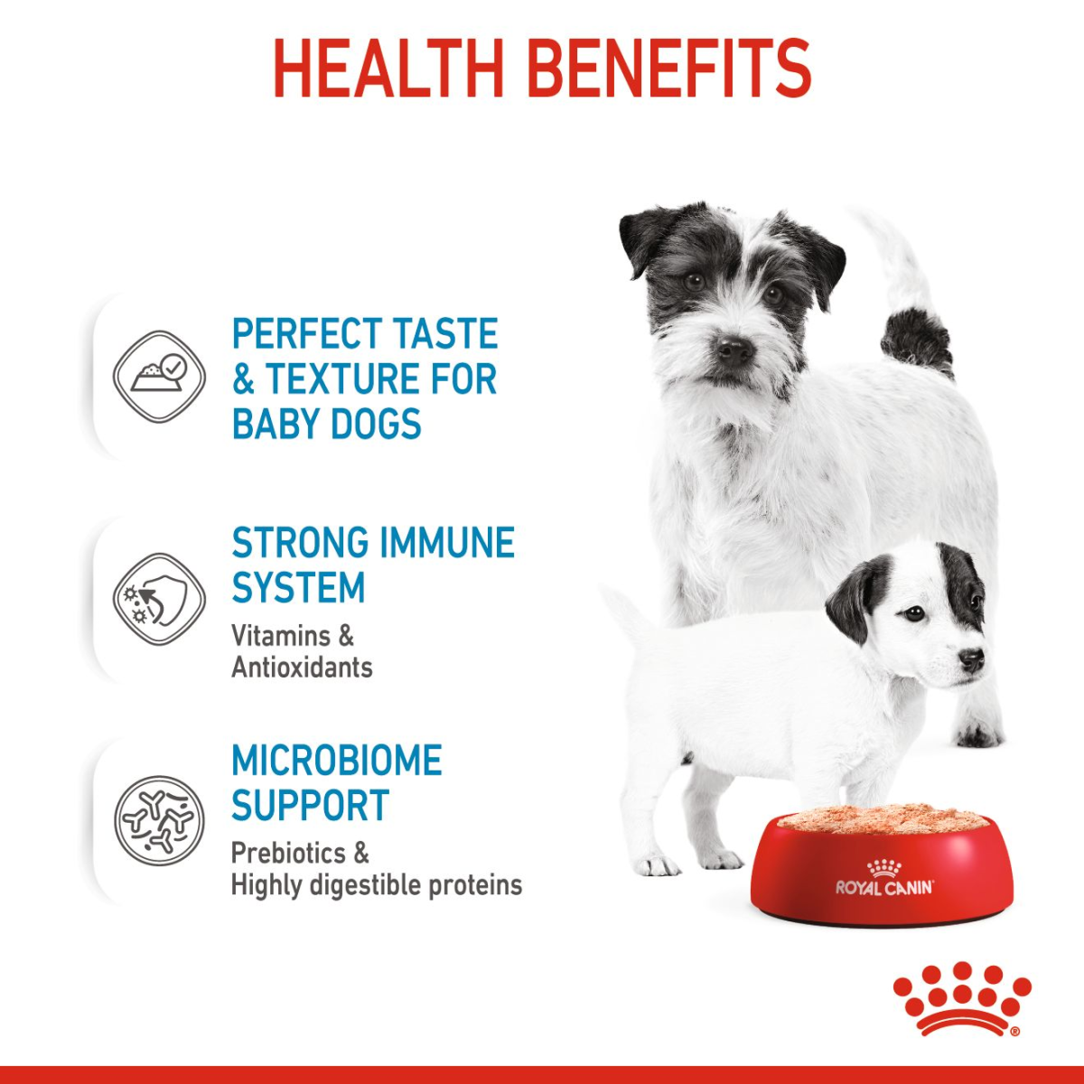 Canine Health Nutrition Starter Mousse (WET FOOD - Cans) 12 x 195g