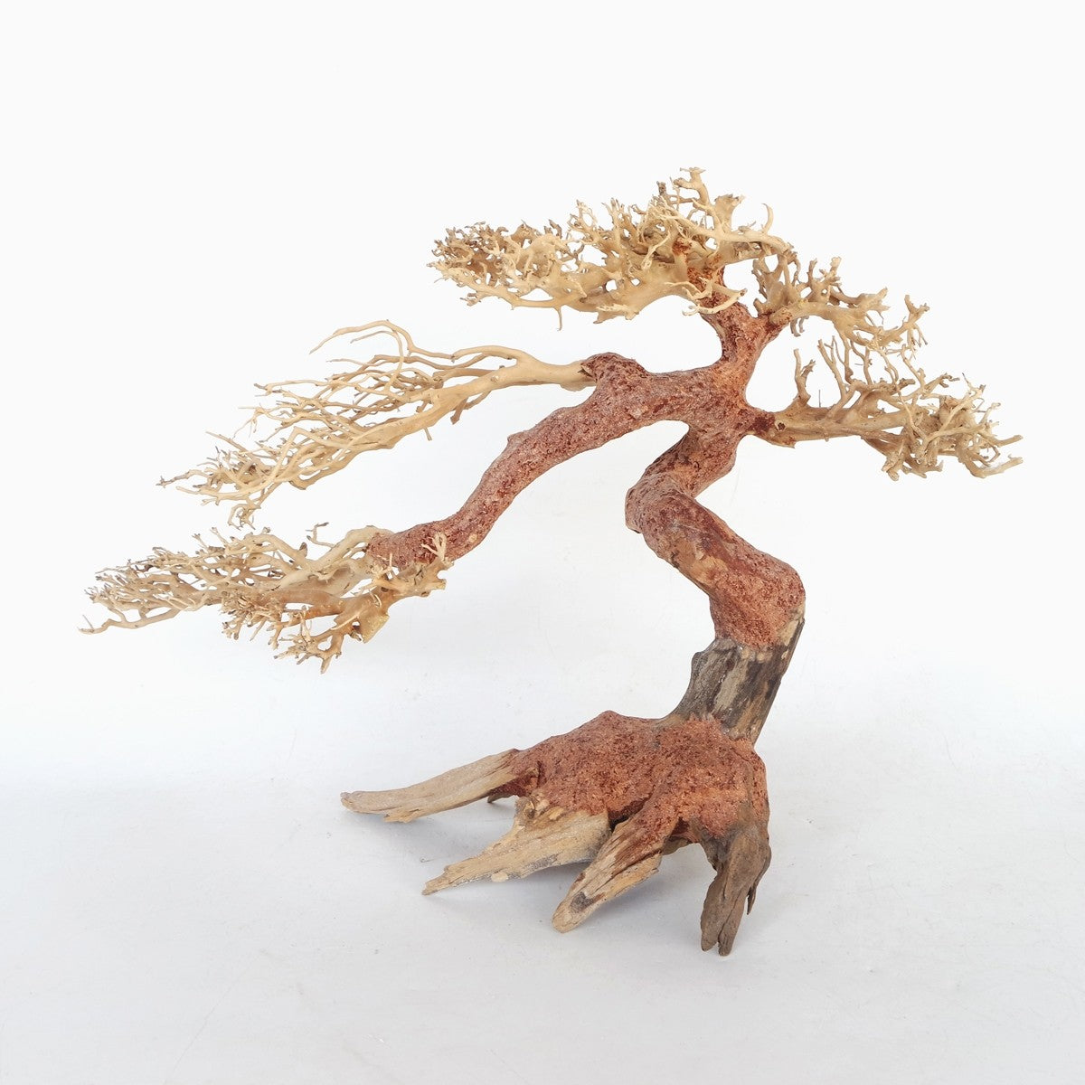 Claw Bonsai Wood - Small / 30x20x10cm / BOX