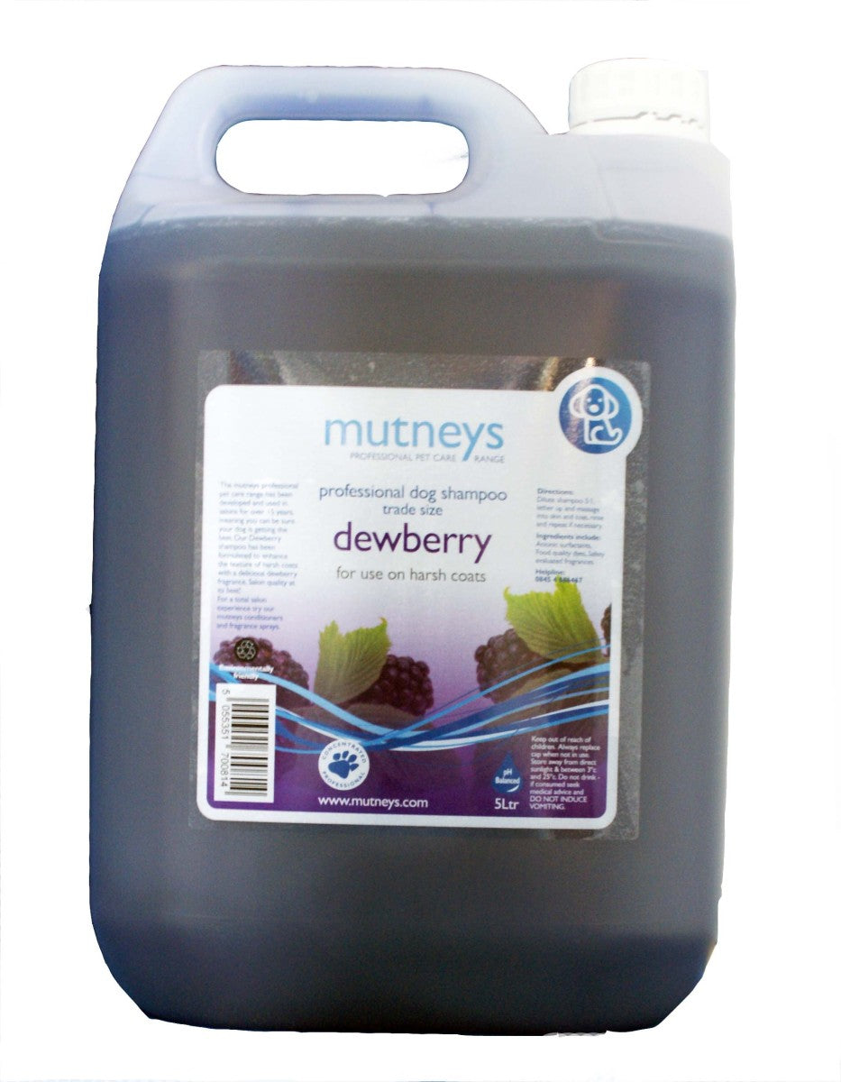 Dewberry Shampoo  5ltr