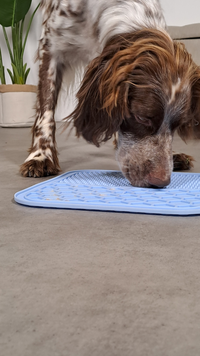 Silicone Licking Mat Medium, Blue