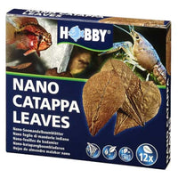 Thumbnail for Nano Catappa Leaves (12 pcs)