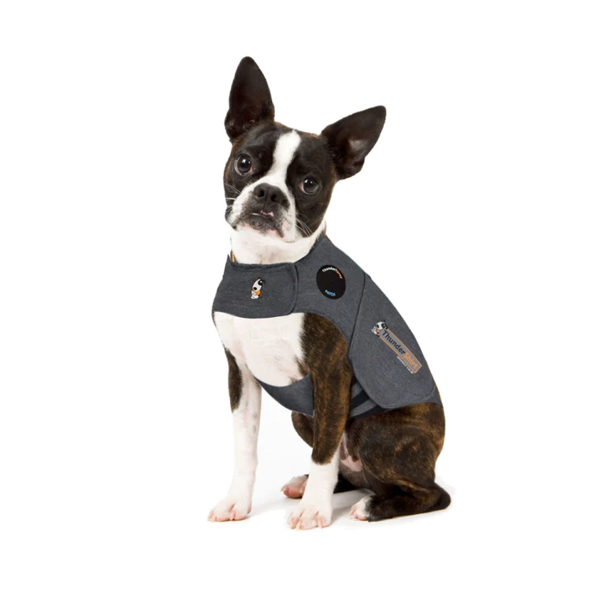 THUNDERSHIRT DOG GREY XS GB