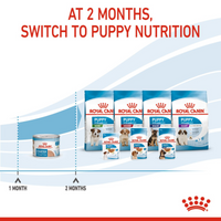 Thumbnail for Canine Health Nutrition Starter Mousse (WET FOOD - Cans) 12 x 195g