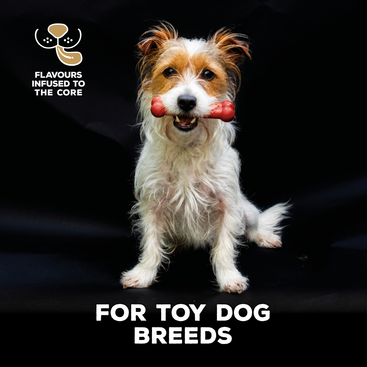 TastyBone Nylon Toy Dog - Beef