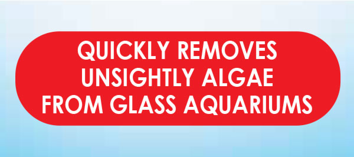 API ALGAE PAD FOR GLASS AQUARIUMS