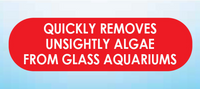 Thumbnail for API ALGAE PAD FOR GLASS AQUARIUMS