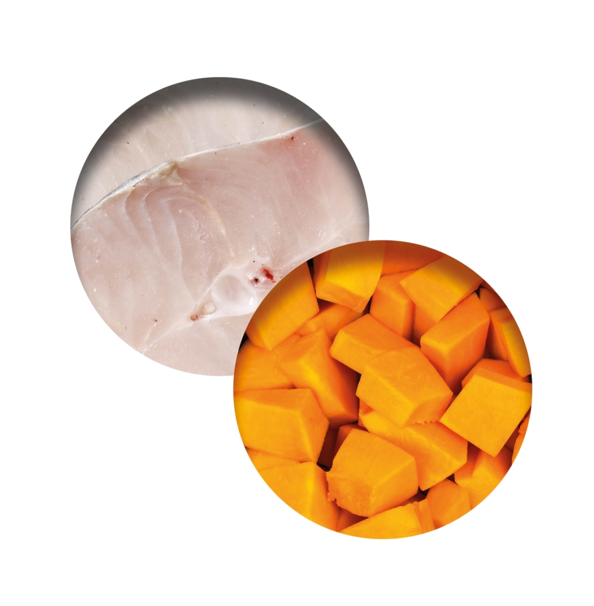 Catit Fish Dinner, Whitefish & Pumpkin 80 g, 6pcs/box