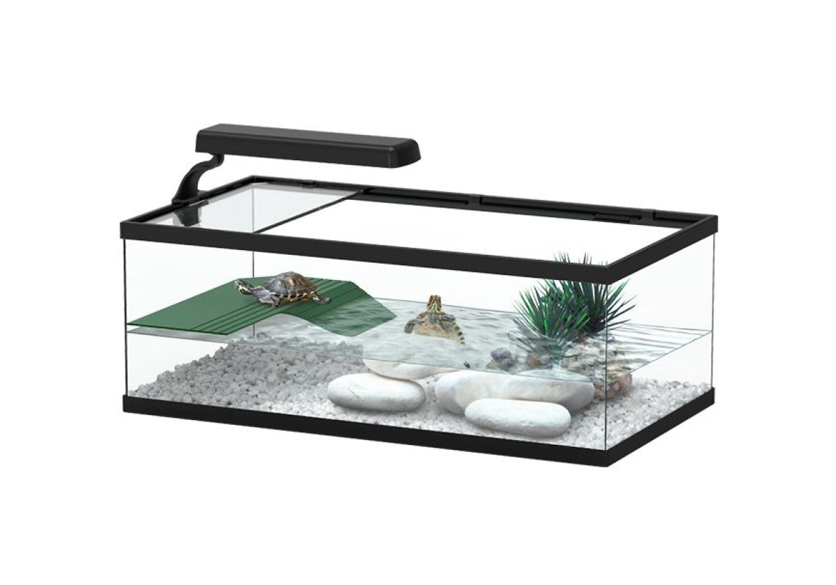 Tortum Turtle Tank 55 x 30 x 20 cm,  Black