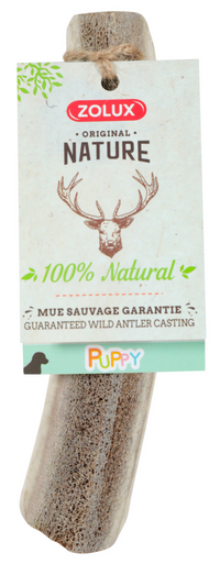 Thumbnail for Natural Deer Antler for Puppy