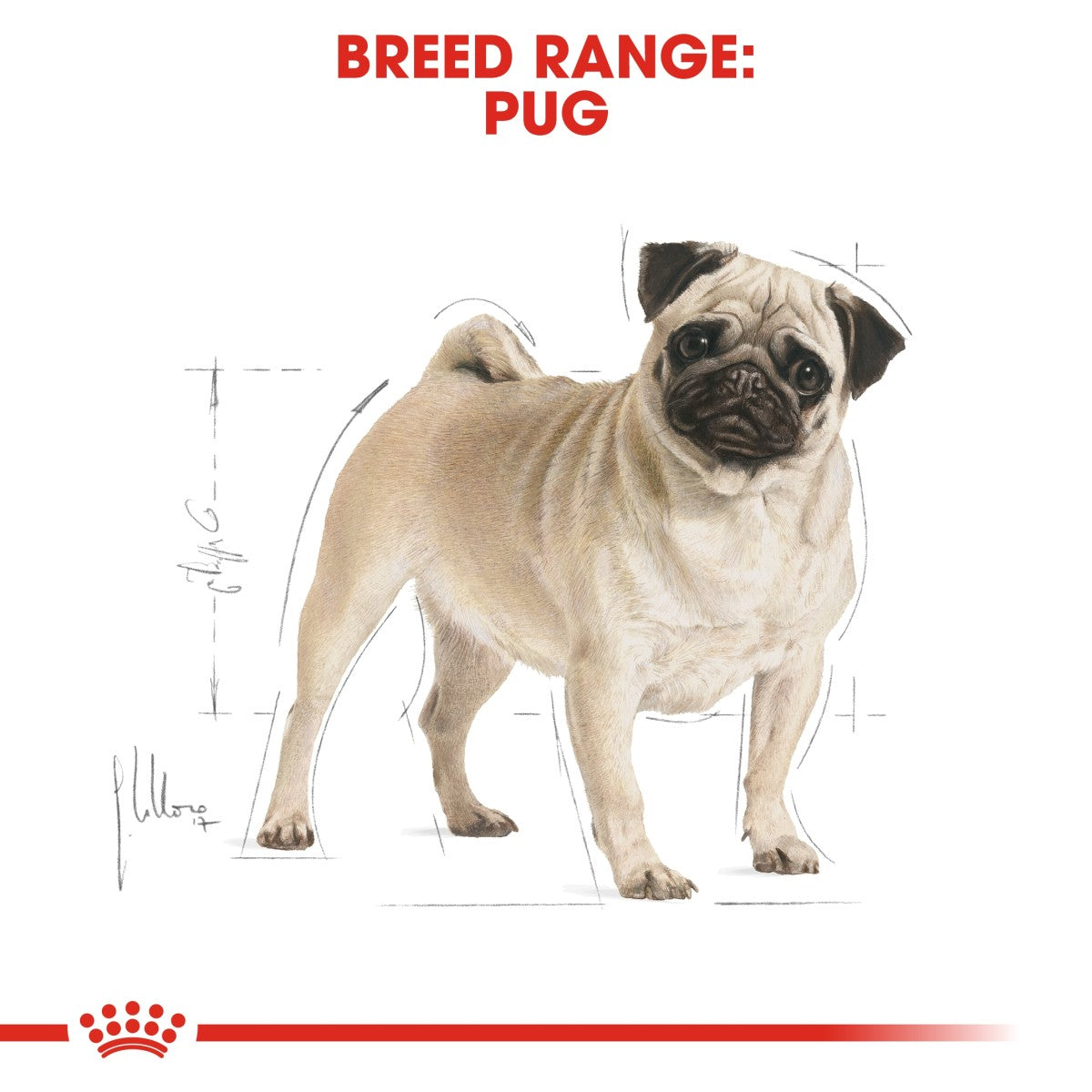 Breed Health Nutrition Pug Adult 7.5 KG