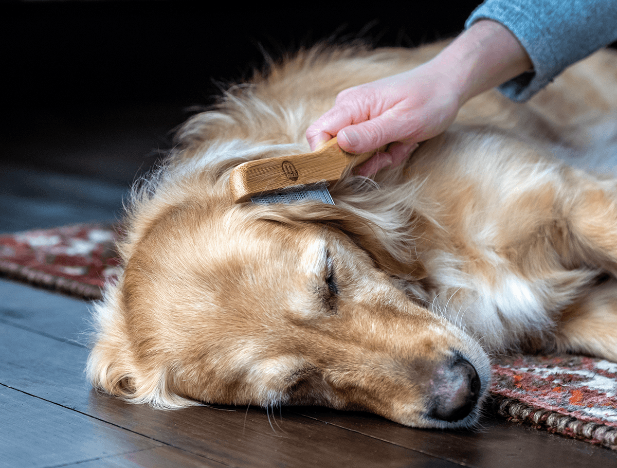 Bamboo Anti-Tangle Comb - Flea