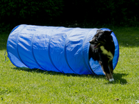 Thumbnail for Agility Tunnel 35 cm dia x 100 cm