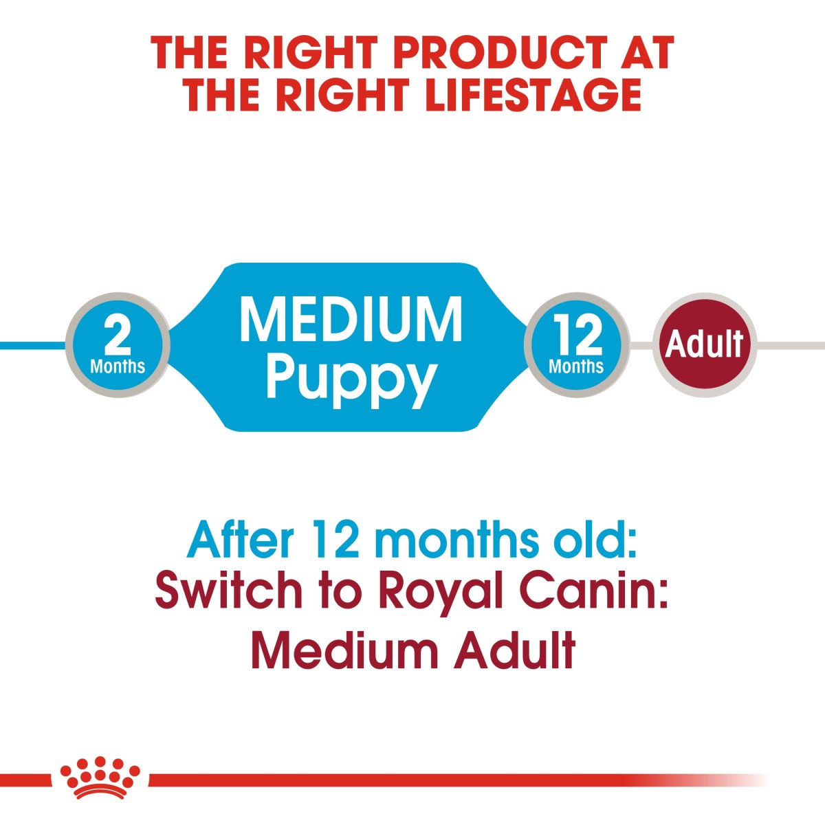 Size Health Nutrition Medium Puppy (WET FOOD - Pouches) 10 x 140g