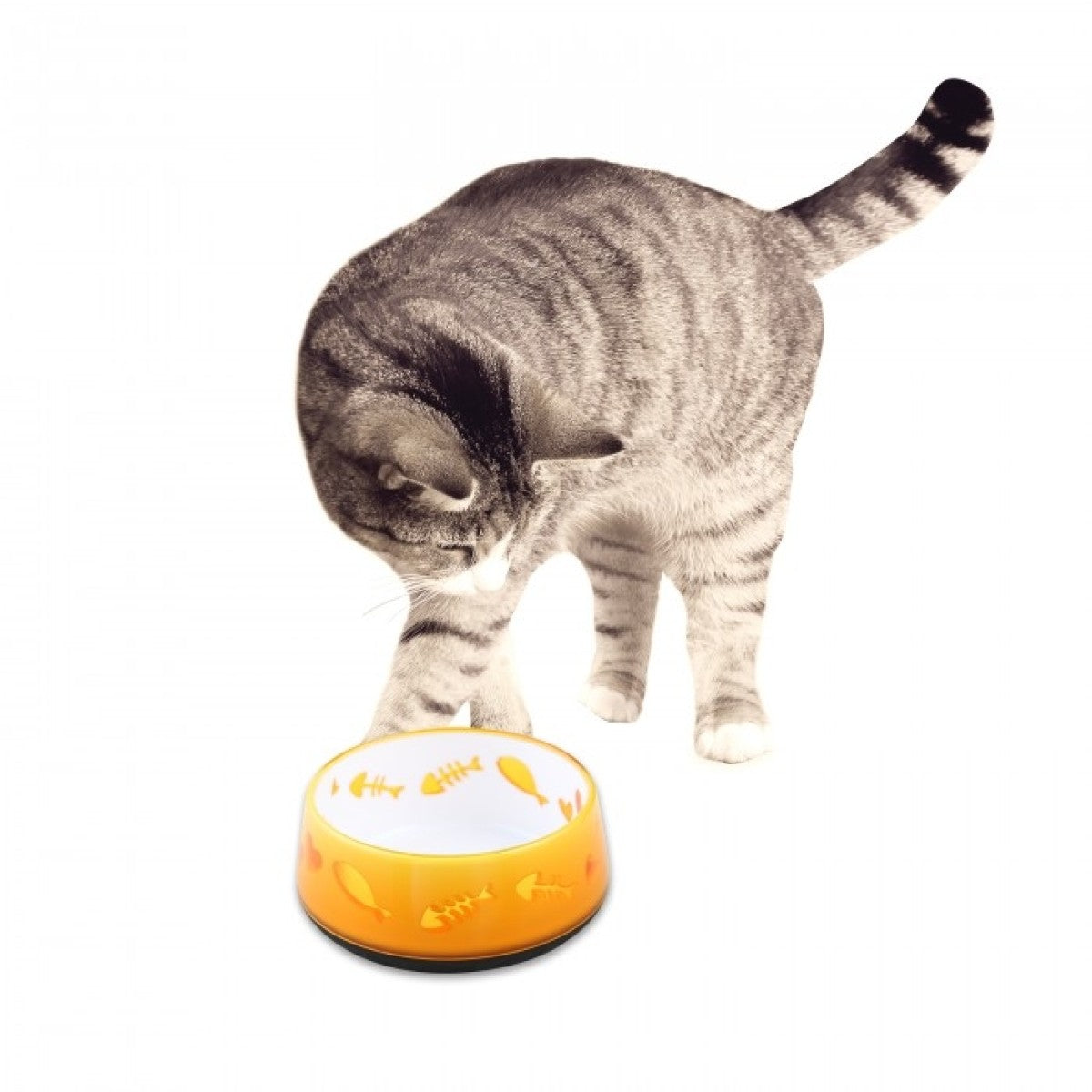 Cat Love Bowl - Orange