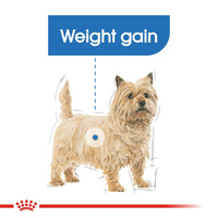 Thumbnail for Canine Care Nutrition Mini Light Weight Care 3 KG