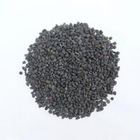 Thumbnail for Tropical Rainforest Gravel 2-5mm, 8KG