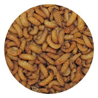 Thumbnail for Wax Snax Dried Wax Worms 1 oz.