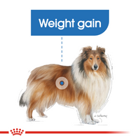 Thumbnail for Canine Care Nutrition Maxi Light Weight Care 12 KG