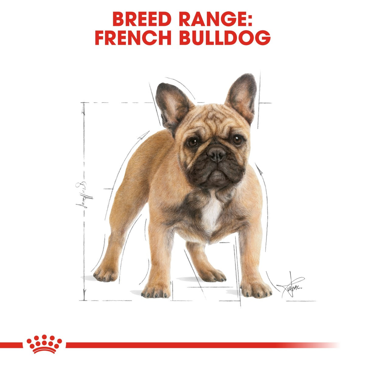 Breed Health Nutrition French Bulldog Adult 3 KG