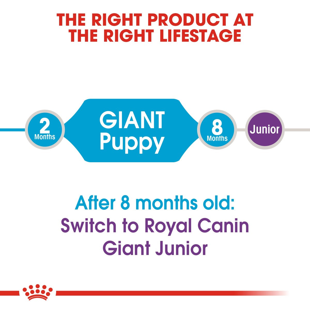 Size Health Nutrition Giant Puppy 15 KG