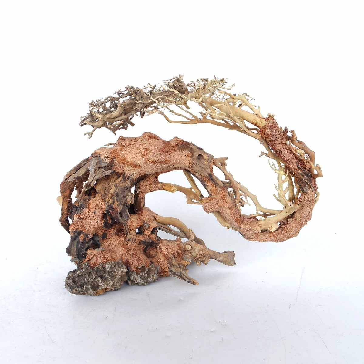 Dragon-like Wood Tree - Medium / 30x23x13cm / BOX