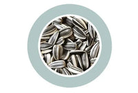 Padovan Sunseeds[Weight - 5kg, Size - M]