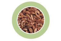Padovan Gammarus[Volume - 250ml, Weight - 30g]