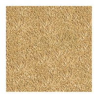 Sera Bettagran Nature[Weight - 10g]