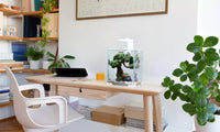 Aquael Shrimp Set Smart Black-Day & Night[Volume - 20L]