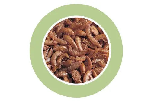 Padovan Gammarus[Weight - 12g, Volume - 100ml]