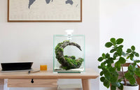 Aquael Shrimp Set Smart Black-Day & Night[Volume - 30L]