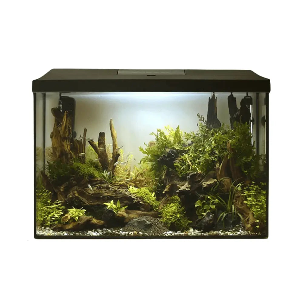 Aquael Leddy Aquarium Set XL Black Day & Night[Size - 60 cm]