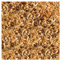 Sera Turtle Food-Raffy - I Nature[Volume - 1L]