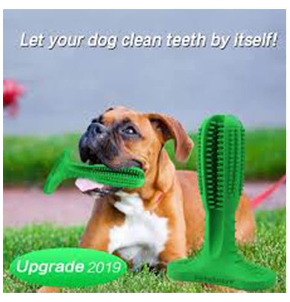 Dog toothbrush toy Chew Toys pet dog massage tooth cleaning tool interactive training toy natural rubber - Medium