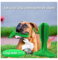 Thumbnail for Dog toothbrush toy Chew Toys pet dog massage tooth cleaning tool interactive training toy natural rubber - Medium
