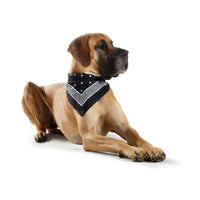 Hunter Cotton Dog Scarf for Collars with Loops - Black