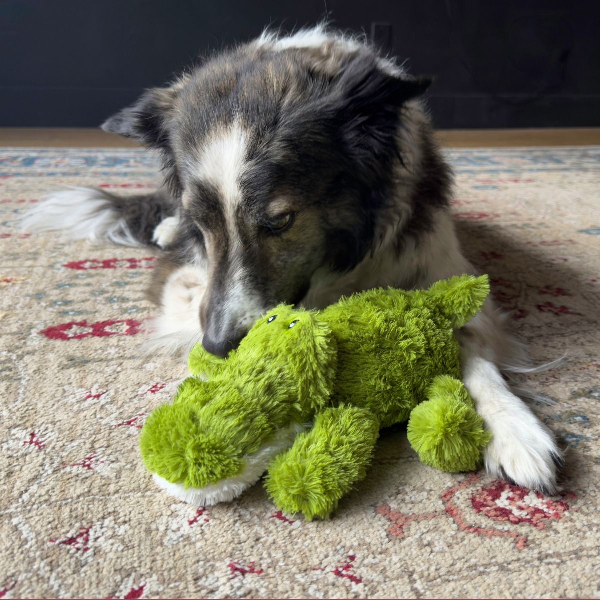 Kong Cozie Ali Alligator Dog Toy - X-L