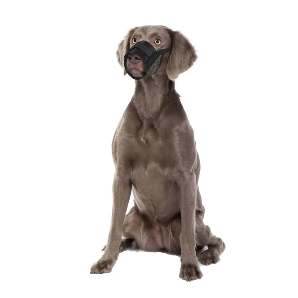 Flamingo Teddie Mesh Dog Muzzle - Medium