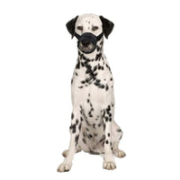 Flamingo Teddie Mesh Dog Muzzle - Medium