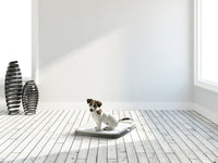 Savic Puppy Trainer Starter Kit - Medium