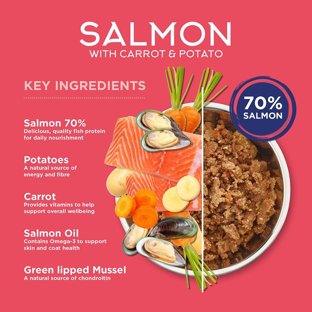 Fish4dogs Finest Complete Salmon with Carrot & Potato Wet Dog Food 395g - 395g