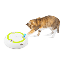 Thumbnail for Interactive Cat Wack 'A' Feather