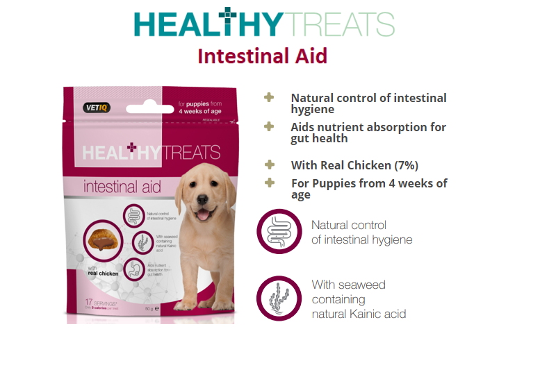 Healthy Treats Intestinal Aid for Puppies 50g - 50G