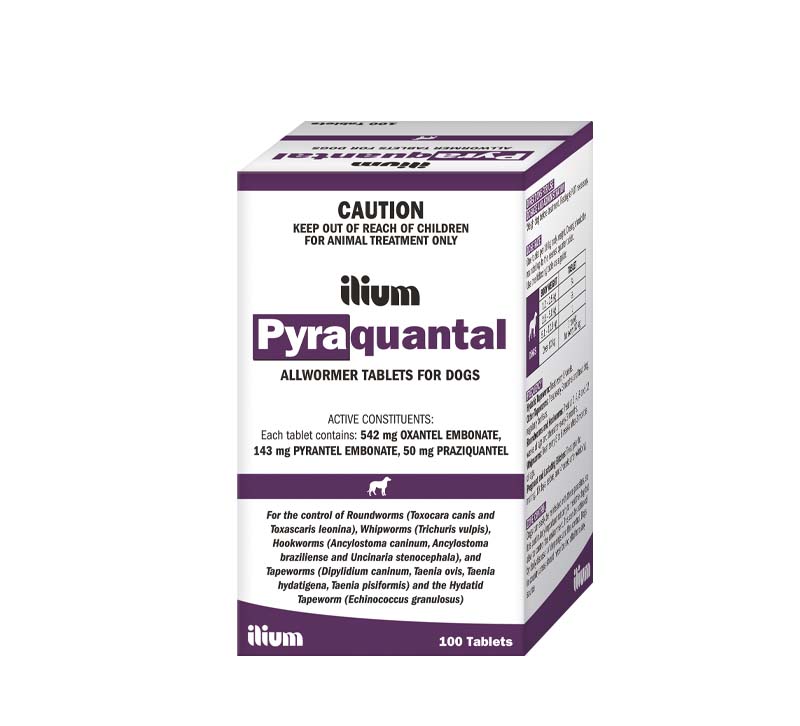ilium Pyraquantal Allwormer 100Tablets