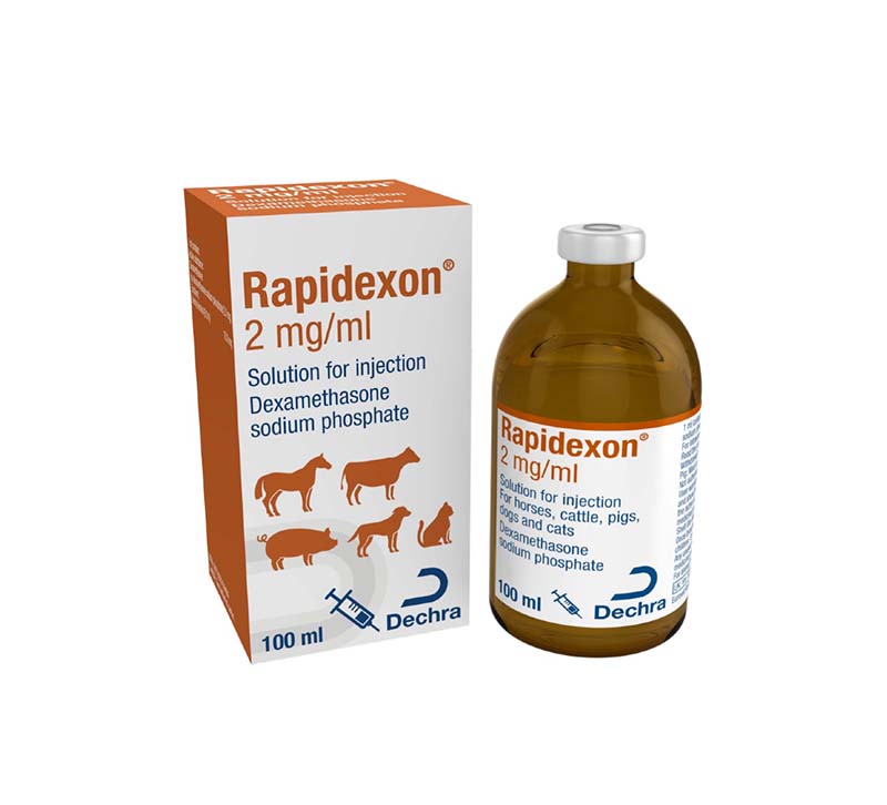 Rapidexon® 2mg/ml Solution for Injection 100ml