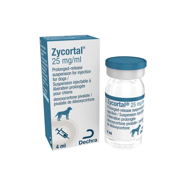 Zycortal® Suspension (desoxycorticosterone pivalate injectable suspension) 4ml
