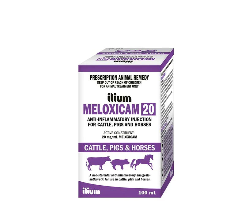 ilium Meloxicam 20 Anti-Inflammatory Injection 100ml